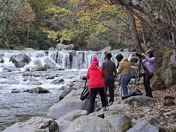 《日本之旅》2024/10/29-日本之旅第三部曲-奧入瀬溪