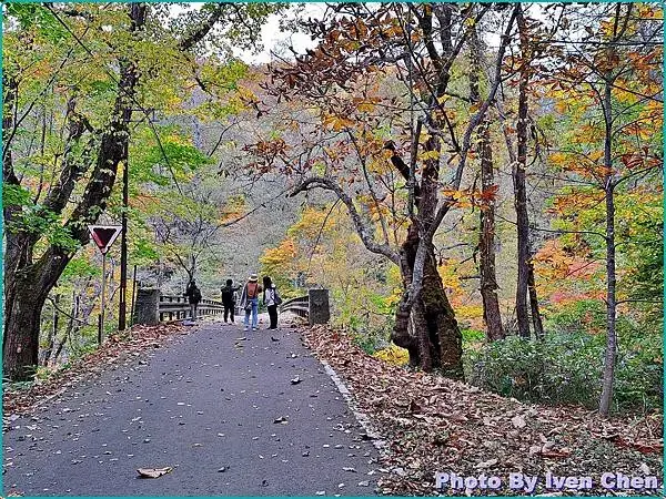 《日本之旅》2024/10/29-日本之旅第三部曲-奧入瀬溪
