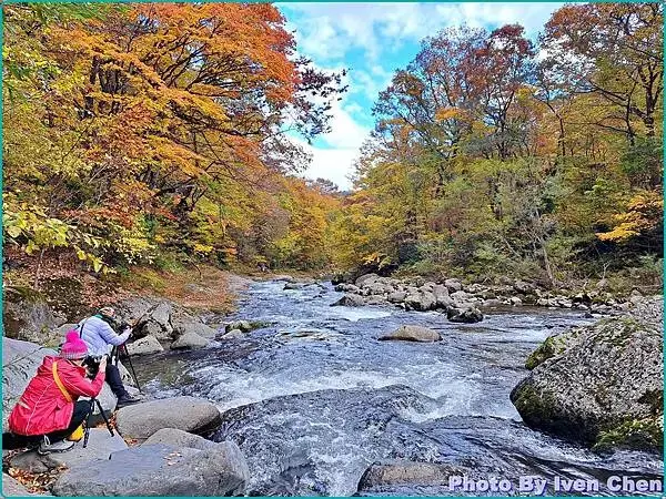 《日本之旅》2024/10/29-日本之旅第三部曲-奧入瀬溪