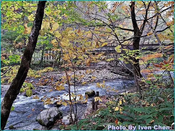 《日本之旅》2024/10/29-日本之旅第三部曲-奧入瀬溪