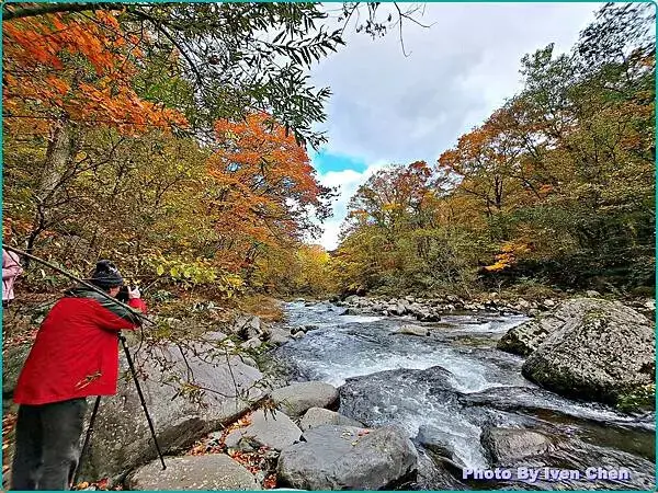 《日本之旅》2024/10/29-日本之旅第三部曲-奧入瀬溪