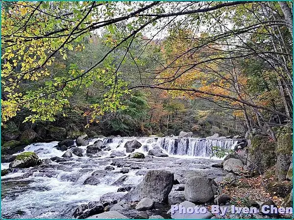 《日本之旅》2024/10/29-日本之旅第三部曲-奧入瀬溪