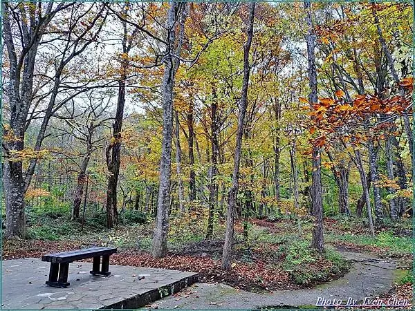 《日本之旅》2024/10/28-日本之旅第三部曲-奧入瀬溪