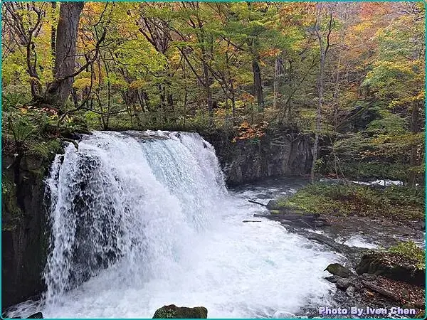 《日本之旅》2024/10/29-日本之旅第三部曲-奧入瀬溪