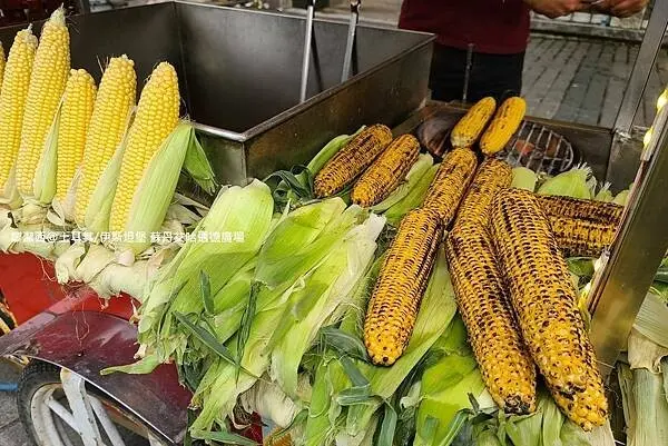 土耳其/伊斯坦堡 蘇丹艾哈邁德廣場