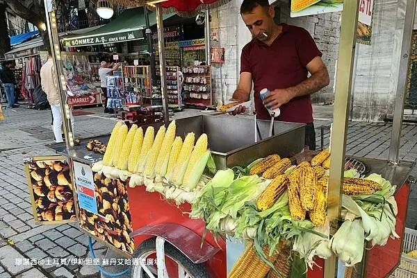 土耳其/伊斯坦堡 蘇丹艾哈邁德廣場