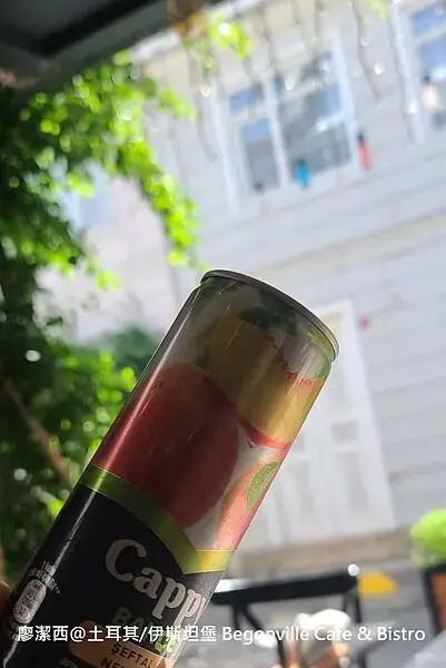 土耳其/伊斯坦堡 Begonville Cafe & Bistro