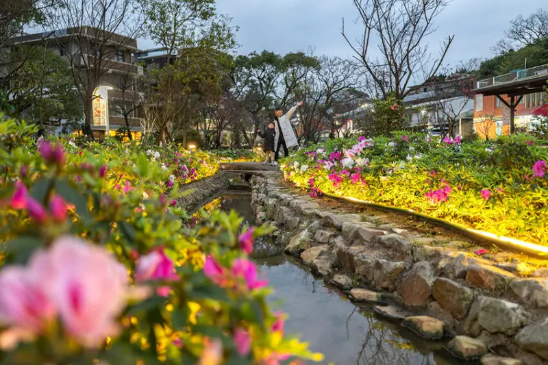 2025萬金杜鵑花展．一起出花｜2025新北景點｜萬里景點推薦