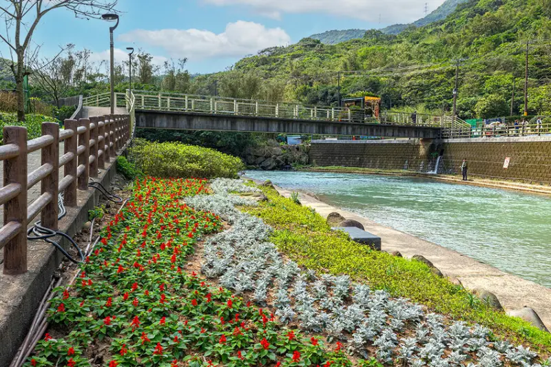 2025萬金杜鵑花展．一起出花｜2025新北景點｜萬里景點推薦