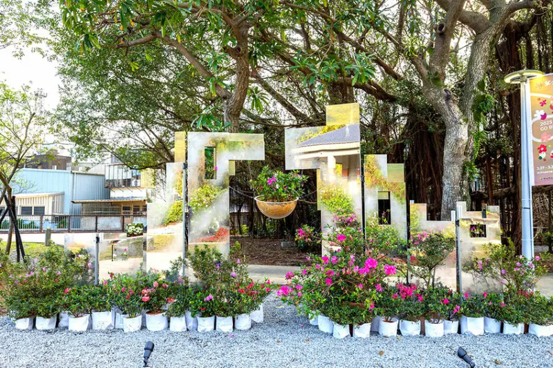 2025萬金杜鵑花展．一起出花｜2025新北景點｜萬里景點推薦