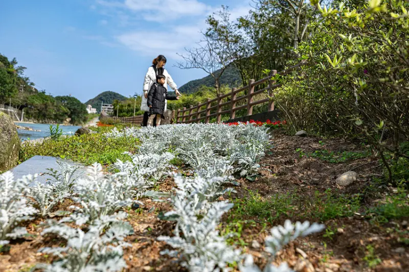 2025萬金杜鵑花展．一起出花｜2025新北景點｜萬里景點推薦