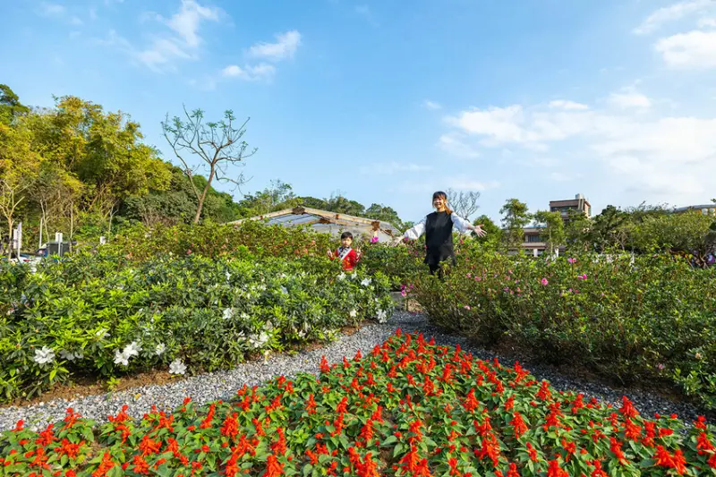 2025萬金杜鵑花展．一起出花｜2025新北景點｜萬里景點推薦