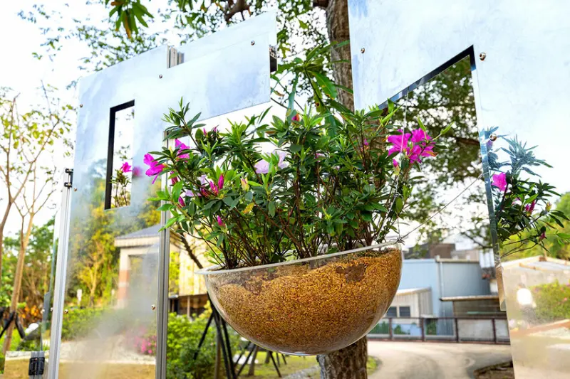 2025萬金杜鵑花展．一起出花｜2025新北景點｜萬里景點推薦