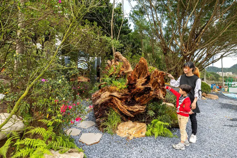 2025萬金杜鵑花展．一起出花｜2025新北景點｜萬里景點推薦