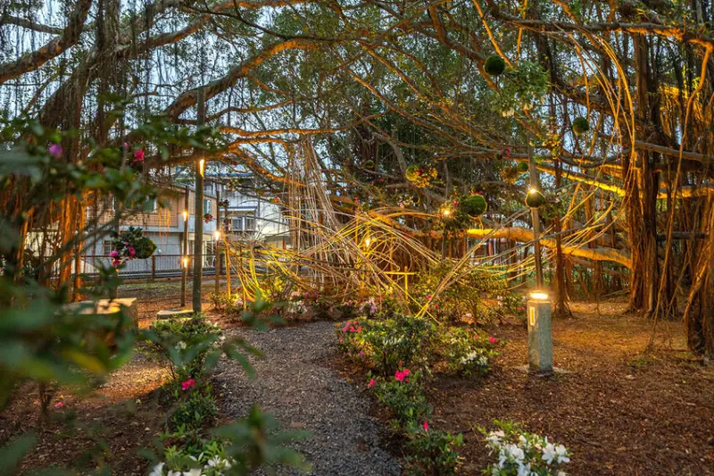 2025萬金杜鵑花展．一起出花｜2025新北景點｜萬里景點推薦