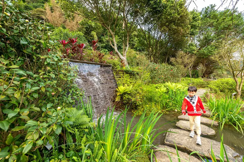 2025萬金杜鵑花展．一起出花｜2025新北景點｜萬里景點推薦