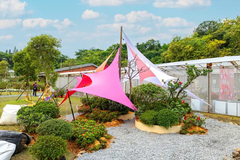 2025萬金杜鵑花展．一起出花｜2025新北景點｜萬里景點推薦