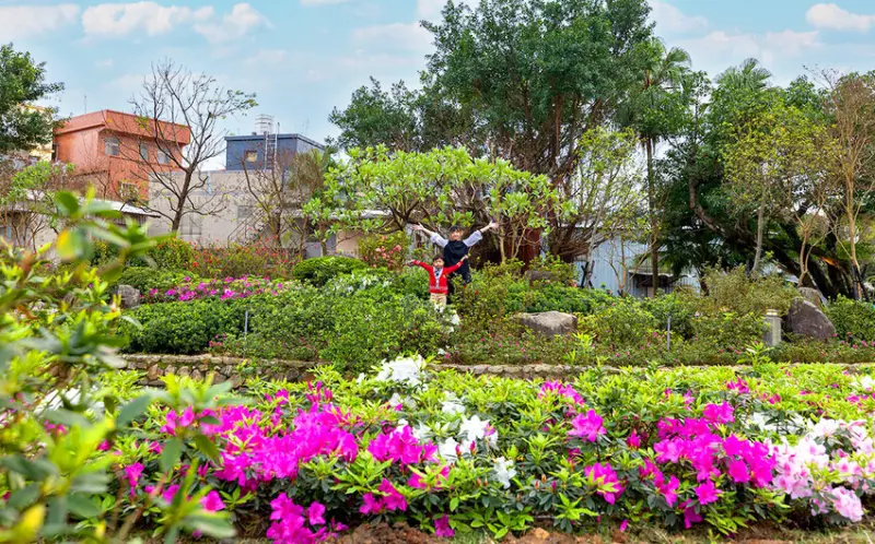 2025萬金杜鵑花展．一起出花｜2025新北景點｜萬里景點推薦