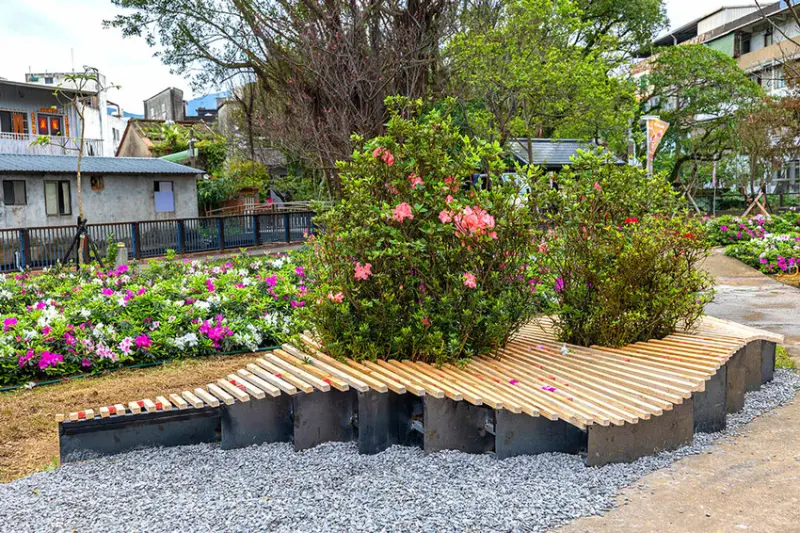 2025萬金杜鵑花展．一起出花｜2025新北景點｜萬里景點推薦