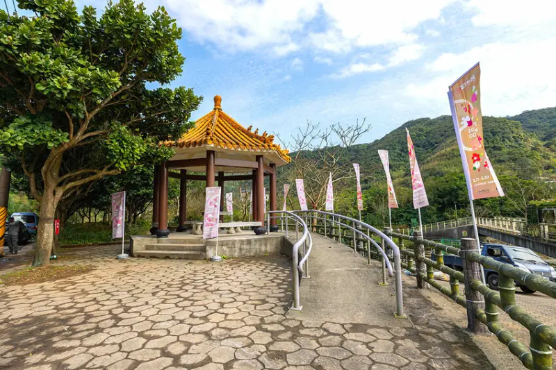 2025萬金杜鵑花展．一起出花｜2025新北景點｜萬里景點推薦