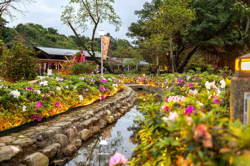 2025萬金杜鵑花展．一起出花｜2025新北景點｜萬里景點推薦