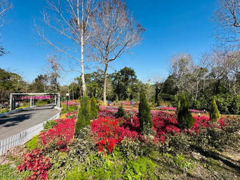 【西湖渡假村】一泊三食特惠住宿方案│動態實境恐龍特展震撼登場