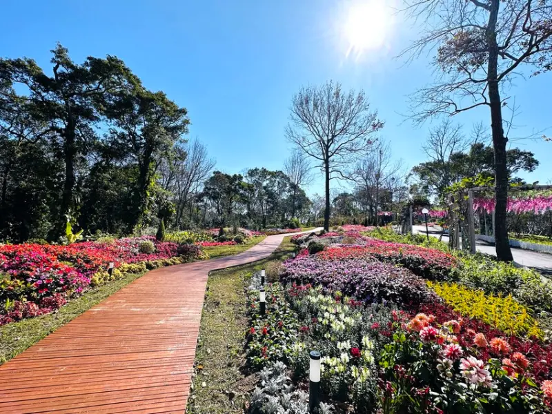 【西湖渡假村】一泊三食特惠住宿方案│動態實境恐龍特展震撼登場