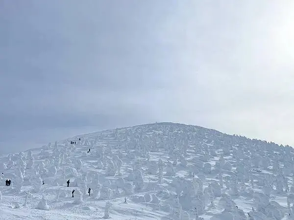 [日本藏王]冬季限定藝術大自然神秘奇景。百萬雪怪出沒~藏王樹
