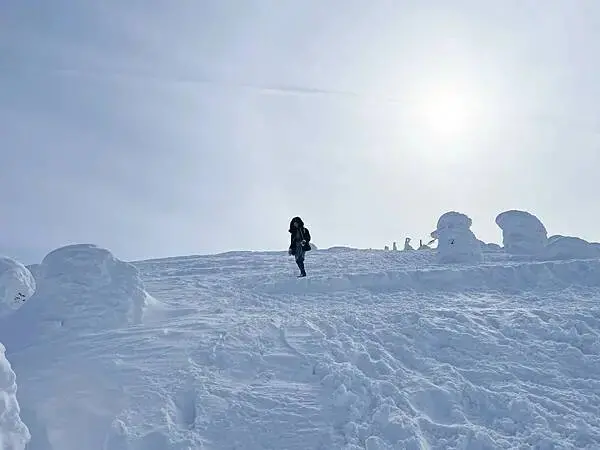 [日本藏王]冬季限定藝術大自然神秘奇景。百萬雪怪出沒~藏王樹