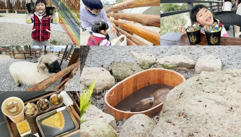 鹿谷親子景點推薦｜鹿芝谷生態景觀園區。瓦來黑鼻羊｜水豚君｜親
