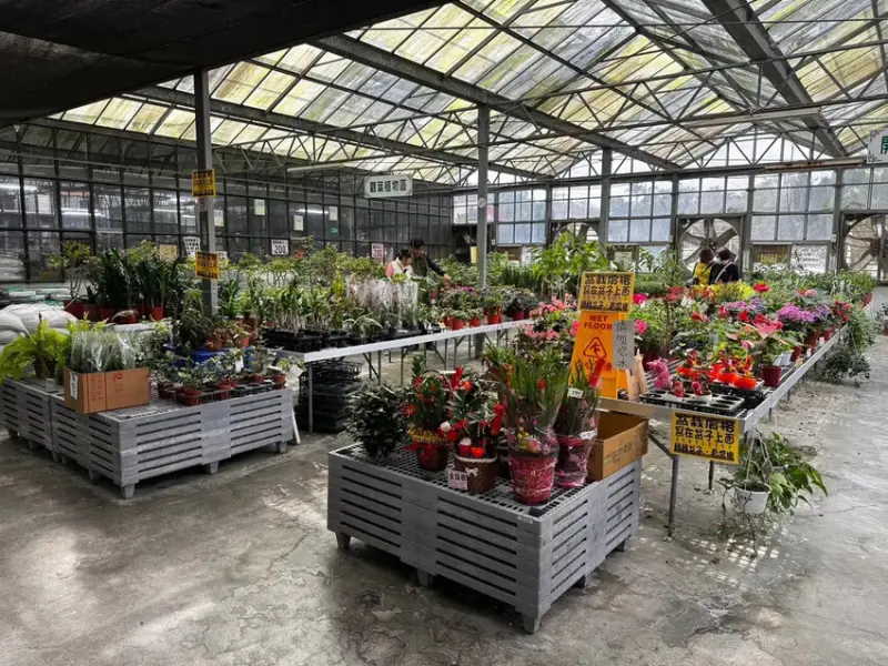 嘉義水上鄉親子遊│推薦7個一日遊玩透透景點│走進日式車站│品