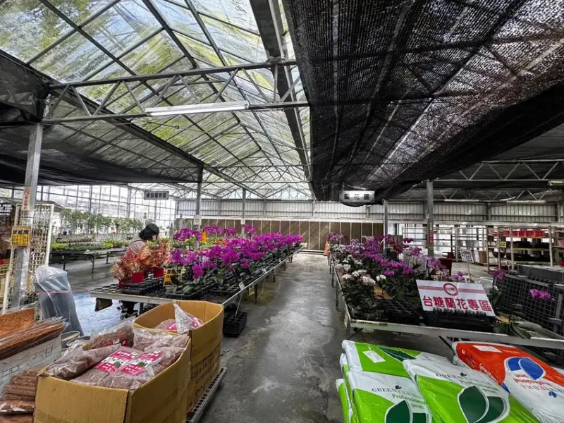 嘉義水上鄉親子遊│推薦7個一日遊玩透透景點│走進日式車站│品