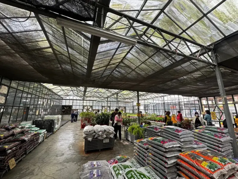 嘉義水上鄉親子遊│推薦7個一日遊玩透透景點│走進日式車站│品