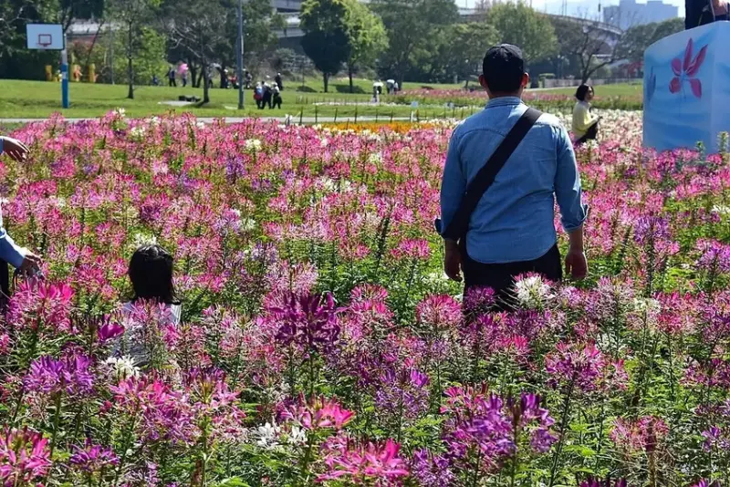 2025古亭河濱公園花海