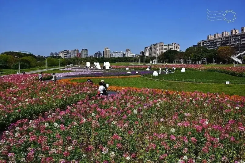 2025古亭河濱公園花海