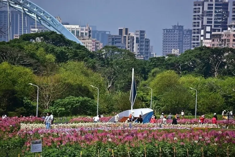 2025古亭河濱公園花海