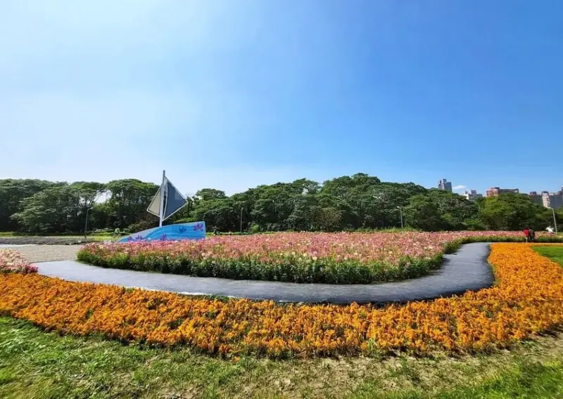 2025古亭河濱公園花海