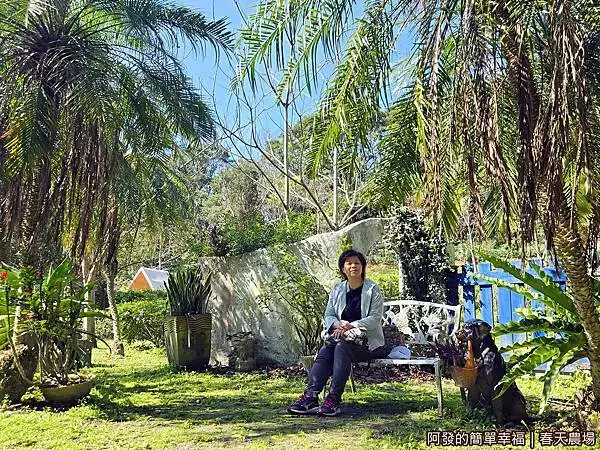 春天農場12-綠蔭下休憩.jpg