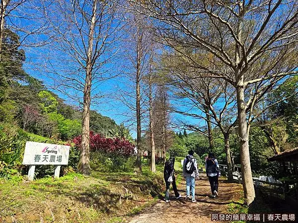 春天農場08-綠意盎然心曠神怡.jpg