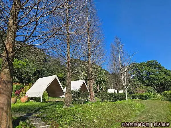 春天農場09-帳篷區.jpg