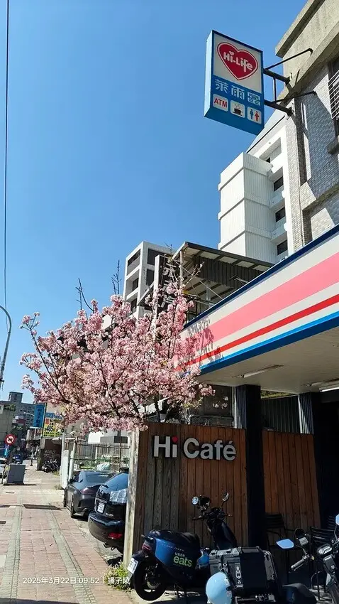 2025竹子湖海芋季，活動日期：2025/3/14~4/27