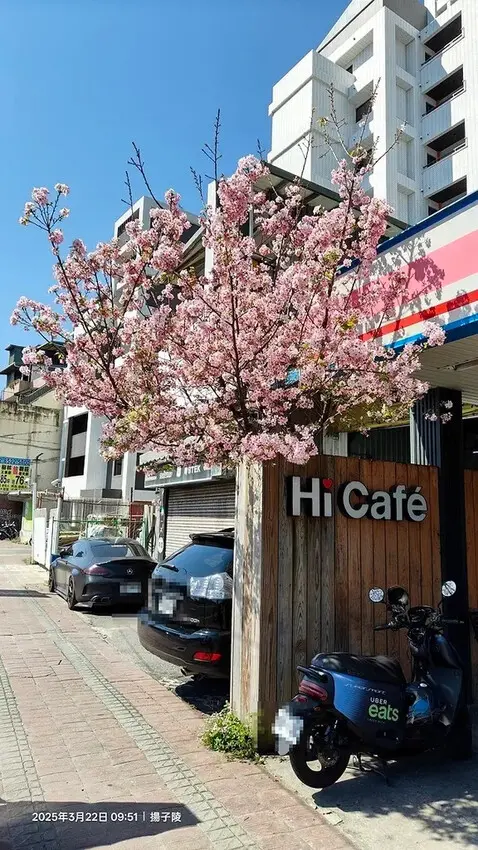 2025竹子湖海芋季，活動日期：2025/3/14~4/27