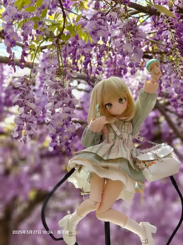 2025淡水紫藤花園-二號水源園區，鬼滅之刃&淡水紫藤花園夢