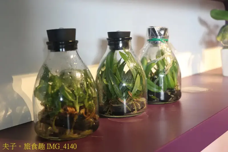 蘭都觀光工廠 廊道彩繪區 X 玻璃屋 台南六甲網美拍照最熱門