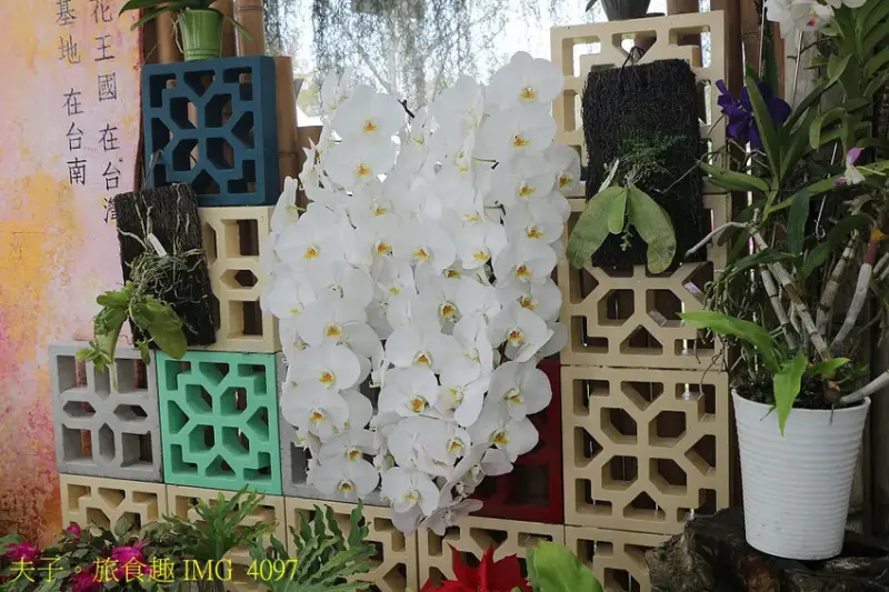 蘭都觀光工廠 廊道彩繪區 X 玻璃屋 台南六甲網美拍照最熱門