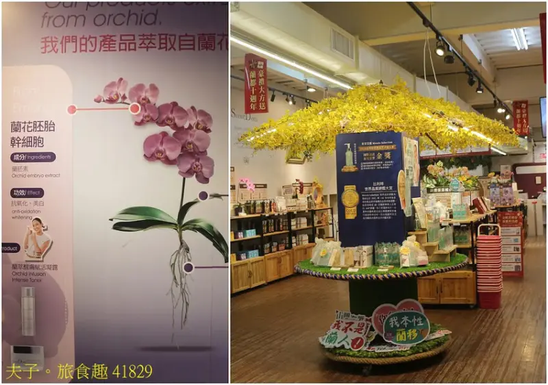 蘭都觀光工廠 廊道彩繪區 X 玻璃屋 台南六甲網美拍照最熱門