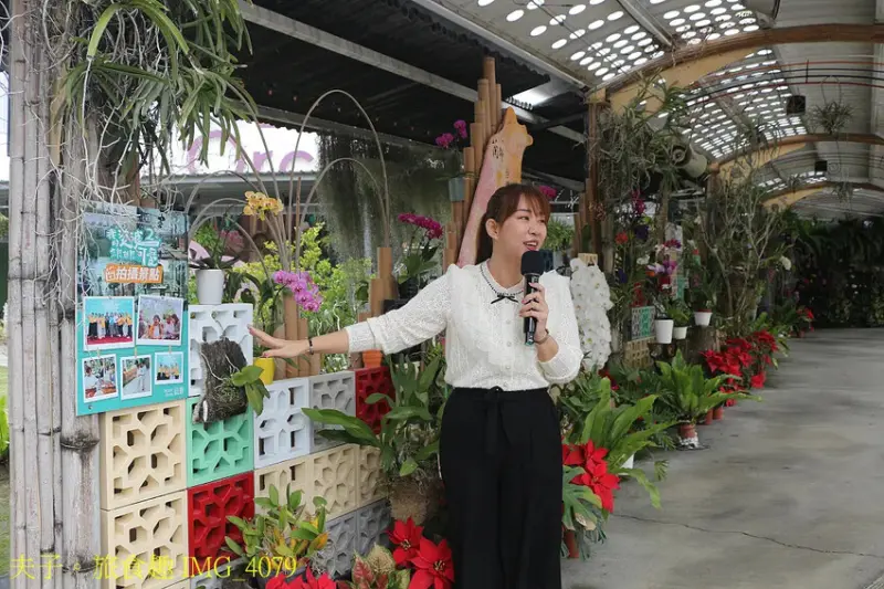 蘭都觀光工廠 廊道彩繪區 X 玻璃屋 台南六甲網美拍照最熱門