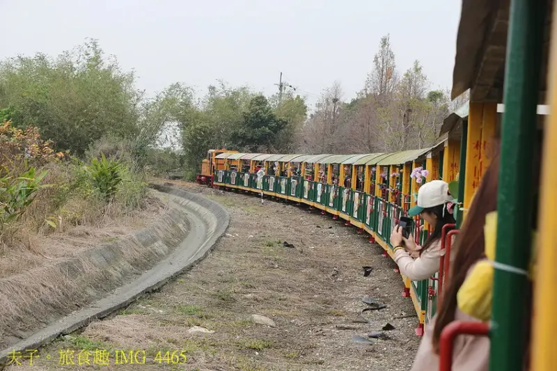 臺南三月蘭花月 旅遊串接亮點 台糖烏樹林休閒園區 五分車 蘭