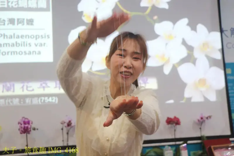 蘭都觀光工廠 廊道彩繪區 X 玻璃屋 台南六甲網美拍照最熱門