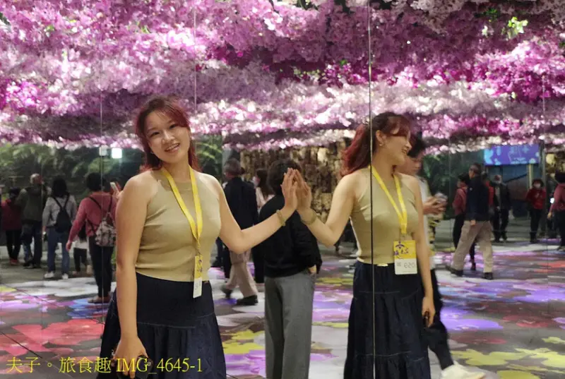 2025臺灣國際蘭展 鏡像世界 在七彩繽紛的色彩反射中 看見